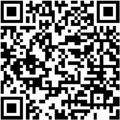 System-Koffer Leersortiment 4.4. Syskoffr-4.4.1.-Tfztl-12Fach