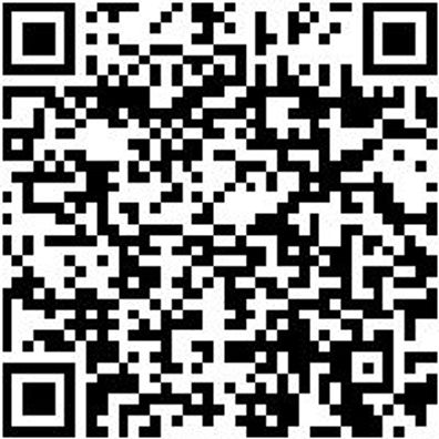 System-Koffer Leersortiment 4.4. Syskoffr-Rstrshaum-4.4.1