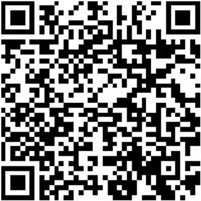 System-Koffer Leersortiment 4.4. Syskoffr-Rstrshaum-4.4.2