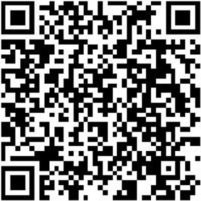 System-Koffer Leersortiment 4.4. Syskoffr-4.4.2.-Shaumadapt-Orsy100