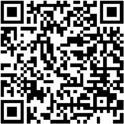 System-Koffer Leersortiment 4.4. Syskoffr-4.4.1.-Tfztl-2Fach