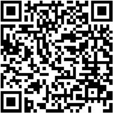 System-Koffer Leersortiment 4.4. Syskoffr-4.4.2-Tfztl.-2Fach