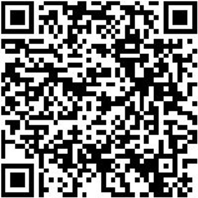 System-Koffer Leersortiment 8.4 Syskoffr-8.4.1.-Box-10Stk