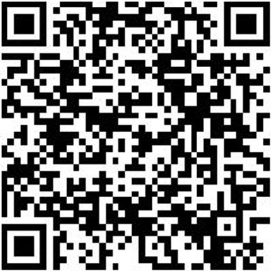 System-Koffer Leersortiment 8.4 Syskoffr-8.4.1.-Box-10Stk