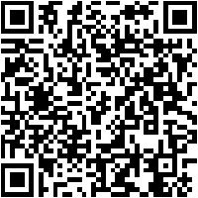 System-Koffer Leersortiment 8.4 Syskoffr-8.4.1.-Box-4Stk