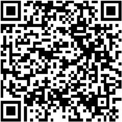 System-Koffer Leersortiment 8.4 Syskoffr-8.4.2.-Box-12Stk