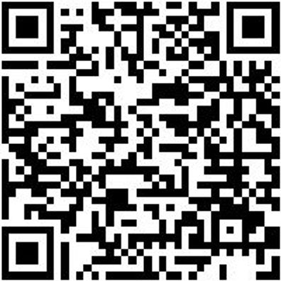 System-Koffer Leersortiment 8.4 Syskoffr-8.4.2.-Tfztl-8Fach-2Stk