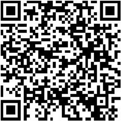 System-Koffer Leersortiment 8.4 Syskoffr-8.4.1.-Box-16Stk