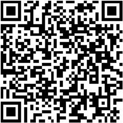 System-Koffer Leersortiment 8.4 Syskoffr-8.4.2.-Box-4Stk