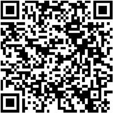 System-Koffer Leersortiment 8.4 Syskoffr-8.4.1.-Box-15Stk