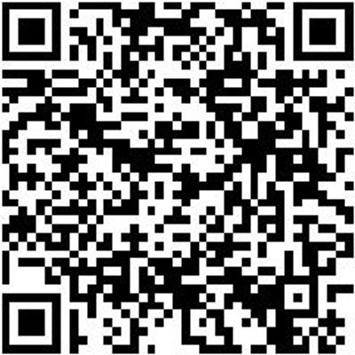 System-Koffer Leersortiment 8.4 Syskoffr-8.4.1.-Box-22Stk