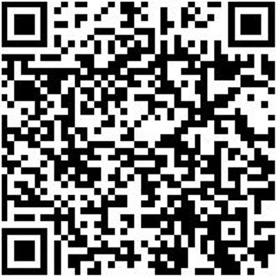 System-Koffer Leersortiment 8.4 Syskoffr-Rstrshaum-8.4.1