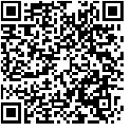 Werkzeugsortiment/-Set Elektro Wzg-Sort-El-Standard-Koffr-31Tlg