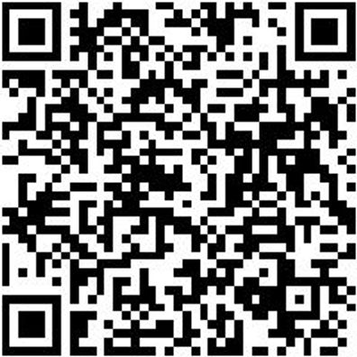 Werkzeugsortiment/-Set Elektro Wzgkoffr-Sysko-(Fzg-El/Hybr)-Vde-32Tlg