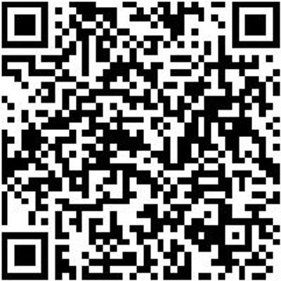 Werkzeugsortiment/-Set Elektro Wzgkoffr-Sysko-(Fzg-El/Hybr)-Vde-16Tlg