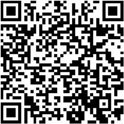 System-Koffer Leersortiment 8.4 Syskoffr-Rstrshaum-8.4.2