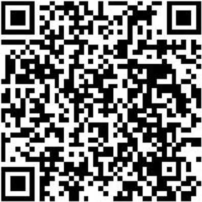 System-Koffer Leersortiment 8.4 Syskoffr-8.4.2.-Shaumadapt-Orsy200