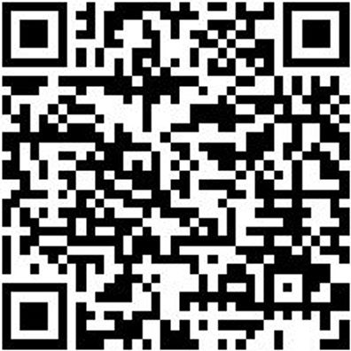 System-Koffer Leersortiment 8.4 Syskoffr-8.4.1.-Tfztl-18Fach-2Stk