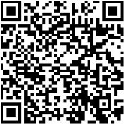 System-Koffer Leersortiment 8.4 Syskoffr-Rstrshaum-8.4.3