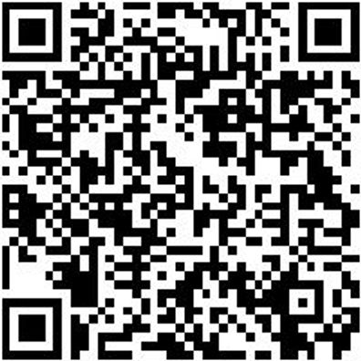 System-Koffer Zubehör Decklschaum-F. Syskoffr-8.4