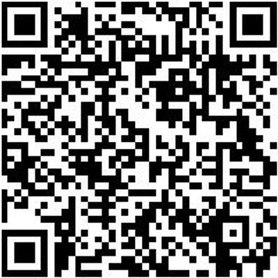 System-Koffer Zubehör Decklschaum-F. Syskoffr-4.4