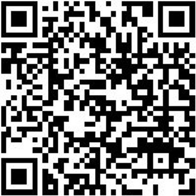 Wetterschutzhose Bundhose Winter Stretch X Grau 24