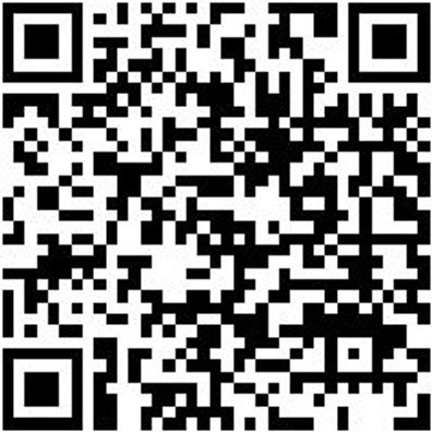 Wetterschutzhose Bundhose Winter Stretch X Grau 27