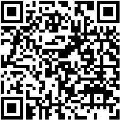 Wetterschutzhose Bundhose Winter Stretch X Anthrazit 25