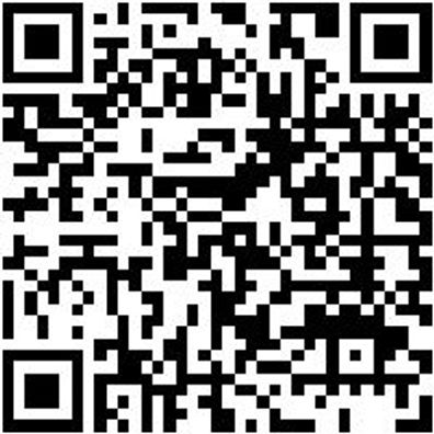 Wetterschutzhose Bundhose Winter Stretch X Anthrazit 27