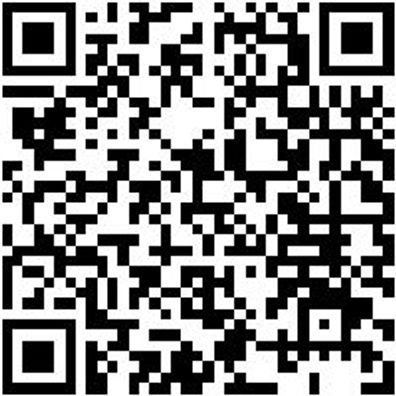 System-Platte Syspl-Gurt