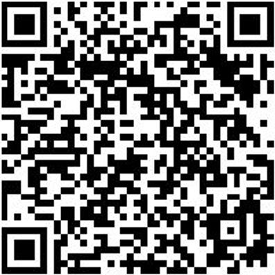 System-Tasche Systash-F. System-Koffer-8.4