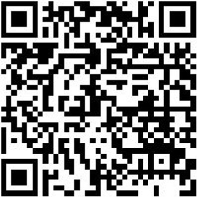 Winkelschleifer Elektro Zubehör Staubshtzfilt-Ws