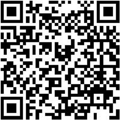 Wundpflaster Pflst-L120Xb20Mm-30Stk