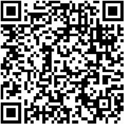 Zange Sortiment/Set Zang-Sort/Set-Sgring-26Tlg