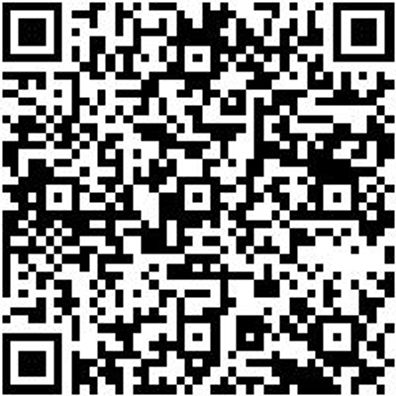 Zangen Sortiment/Set Zang-Sort-Abklezang-3Tlg