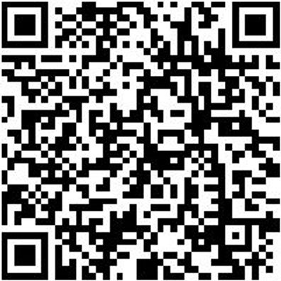 Zangen Sortiment/Set Zang-Sort-(Extra-Lang)-3Tlg