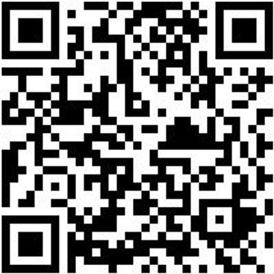 Zangen Sortiment/Set Zang-Sort-4Tlg