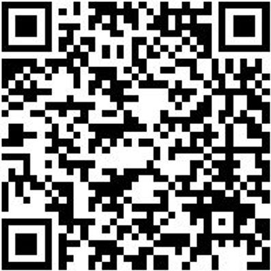 Zangen Sortiment/Set Zang-Sort-4Tlg