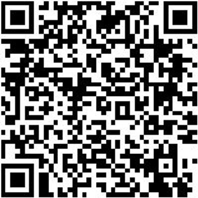 Zimmermannsbeitel Zimbeit-Stech-Hoheft-Din5141-26Mm