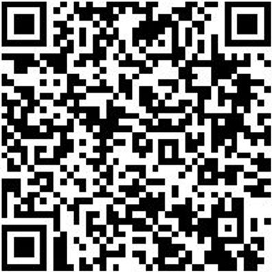 Zimmermannsbeitel Zimbeit-Stech-Hoheft-Din5141-40Mm