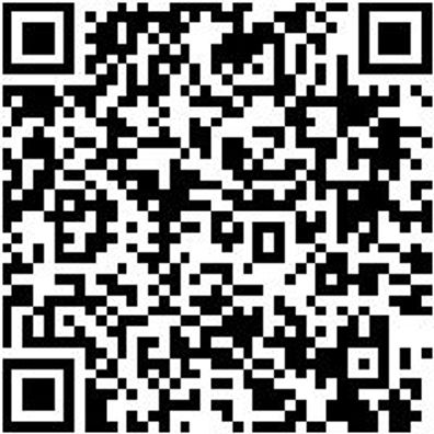 Zimmermannsbeitel Zimbeit-Stech-Hoheft-Din5141-50Mm