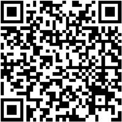 Zündkerzenbürste Zkerzburst-Msdraht-L145Mm