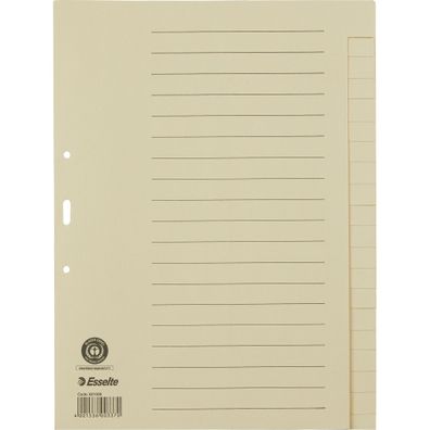 Esselte Register blanko A4 Papier 20Blatt grau