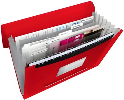 Esselte Fächermappe A4 6 F. rot Projektmappe mit 6 Fächern Für 300Blat