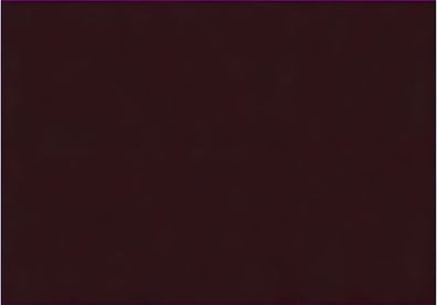 Tsukineko 211511823 Stempelkissen VersaColor 10 x 6 cm himbeere