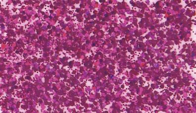 KNORR Prandell 218099125 Glitterfarbe Flaky Glue pink