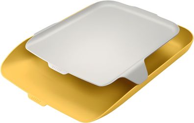 LEITZ Briefkorb A4 mit Ablage 4002432124817