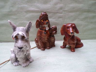 alte Rauchverzehrer Porzellan Hunde Dackel Pudel Terrier
