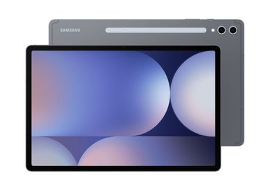 Samsung Galaxy Tab S10+ 256GB WiFi Grau 120 Hz 12 GB RAM 13 MP - Kaufen