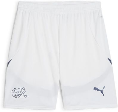 Puma Sport Shorts SFV Shorts Replica 773975